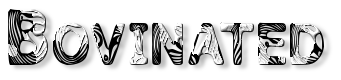 Rendered Image