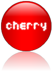 Rendered Image