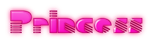 Princess Logo Style