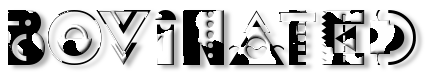 Rendered Image