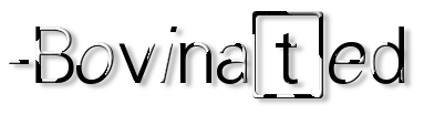 Rendered Image