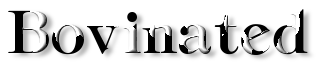 Rendered Image