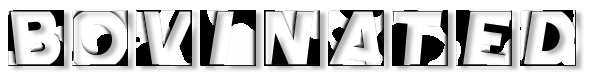 Rendered Image