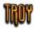 TROY Logo Style