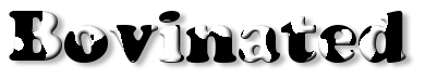 Rendered Image