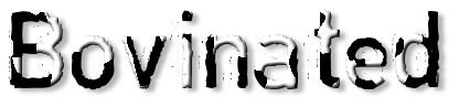 Rendered Image