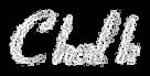 Rendered Image