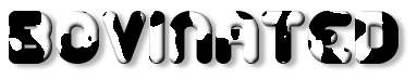 Rendered Image