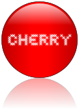 Rendered Image