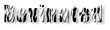 Rendered Image