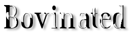 Rendered Image