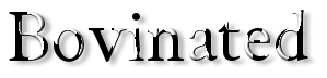 Rendered Image
