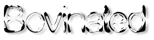 Rendered Image