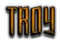 TROY Logo Style