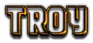 TROY Logo Style