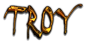 TROY Logo Style