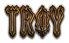 TROY Logo Style