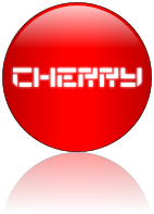 Rendered Image
