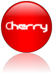 Rendered Image