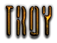 TROY Logo Style