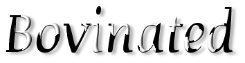 Rendered Image
