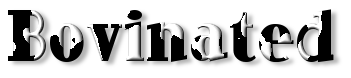 Rendered Image