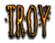 TROY Logo Style