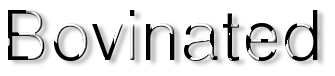Rendered Image