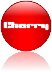 Rendered Image