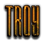 TROY Logo Style