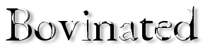 Rendered Image