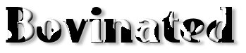 Rendered Image
