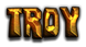 TROY Logo Style