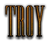 TROY Logo Style