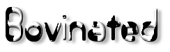 Rendered Image