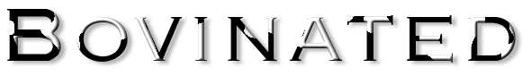 Rendered Image