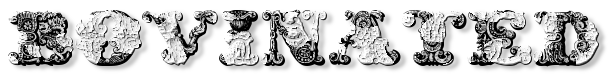 Rendered Image