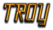 TROY Logo Style