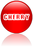 Rendered Image