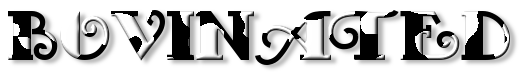 Rendered Image