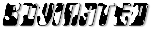 Rendered Image