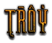 TROY Logo Style