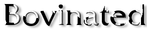 Rendered Image