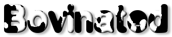 Rendered Image