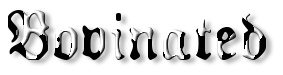 Rendered Image