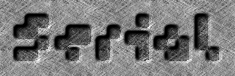 Rendered Image