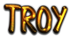 TROY Logo Style