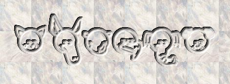 Rendered Image