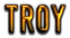 TROY Logo Style