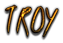 TROY Logo Style